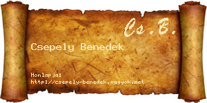 Csepely Benedek névjegykártya
